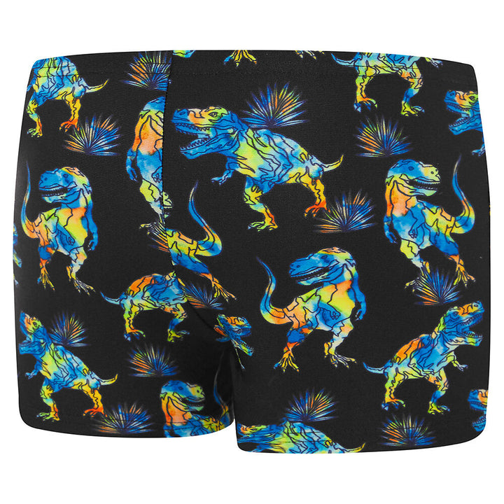 Speedo Dinosaur Hip Racer