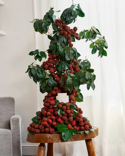 Ecoya Electric Wax Melter